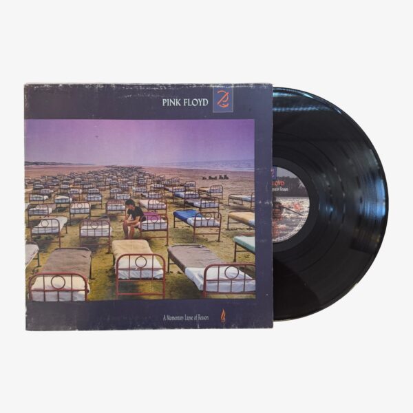 Pink Floyd A Momentary Lapse Of Reason Plak | 3345 Records