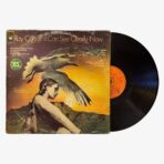 2301330430 | 3345 Records Ray Conniff And The Singers I Can See Clearly Now Plak | 3345 Records