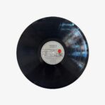 2301330463D | 3345 Records Plak - Shirley Bassey | I Am What I Am - görsel 4