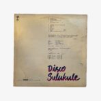 Plak - İstanbul Çalgıcıları / İstanbul Şarkıcıları | Disco Sulukule - görsel 2