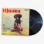 Chico Rodriguez And His Tijuana Sound 16 More Tijuana Hits - Volume 2 Plak | 3345 Records