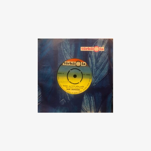 Nuri Sesigüzel Gözümün Yaşı İle Bir Mektup Yazdım / Kardeş Kurşunu Düşmandan Beter Plak | 3345 Records