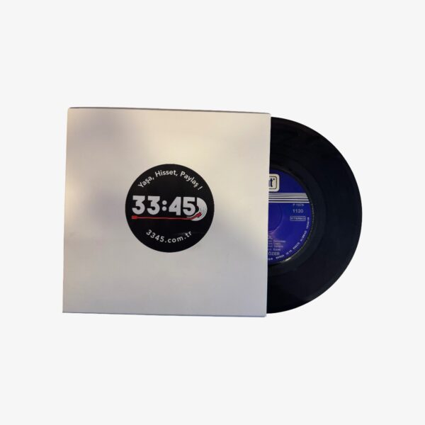Zerrin Özer Gönül / Yaman Olurum Plak | 3345 Records