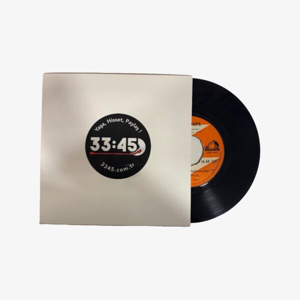 Ertan Anapa Korkuyorum Seni Kaybetmekten / Rüzgar Gibi Geçti Plak | 3345 Records