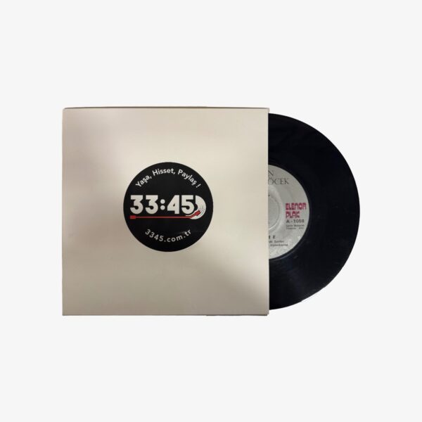 Gülden Karaböcek Çeşme / Ne Bilirdim ki Plak | 3345 Records