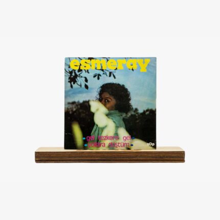 Vinyl record cover showing a woman with curly hair against a blue sky, with a bold yellow 'esmeray' title, on a wooden shelf.